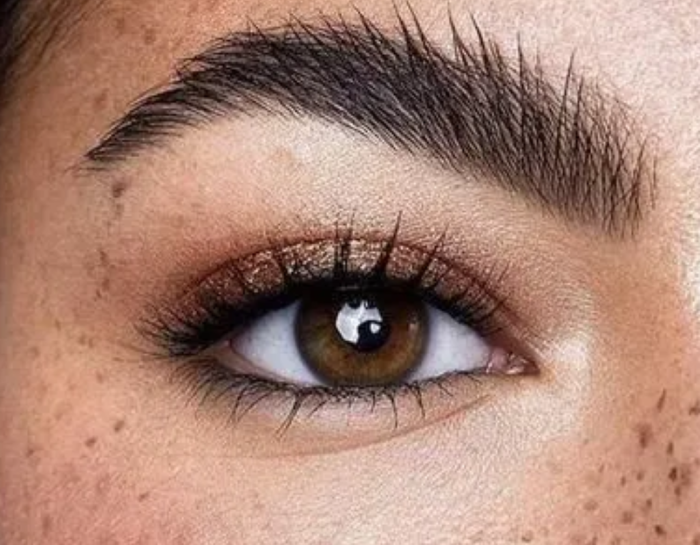 Le joli œil brun d'une femme, on apprécie la belle transparence de sa cornée laissant apparaitre la jolie couleur de son iris